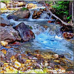 L'eau vive in Valle Stretta