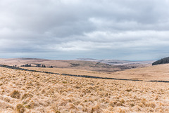 Dartmoor -  20160319