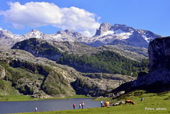 Lago Ercina, Covadonga y Picos de Europa, Asturias