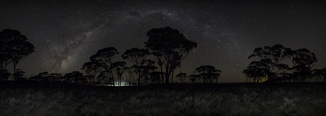 Home and Salmon Gums under the milky way.