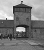 Birkenau- Point of No Return