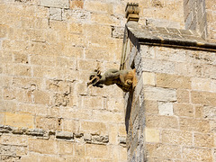 Ciutadella und die Wasserspeier von der Kathedrale