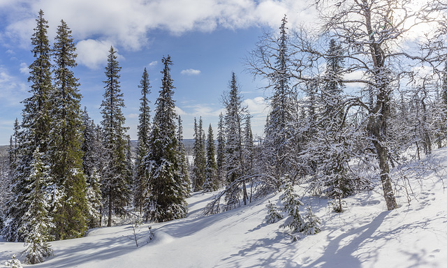 Fresh snow and sunshine in April Fresh snow and sunshine in April