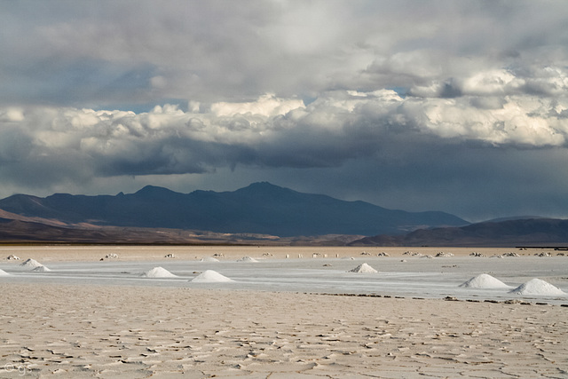 Salinas Grandes del Noroeste (PiP)