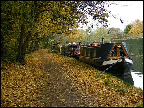 Jericho towpath in autumn