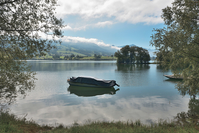 Un matin, au bord du lac de Gruyères ...