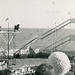 Bear on a Bicycle at the Steel Pier, Atlantic City, N.J., 1957 (Cropped)