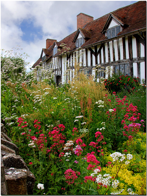 Cottage Garden