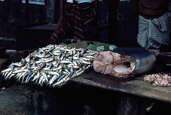 Strassenverkauf von Fisch in Dondra Sri Lanka 1982