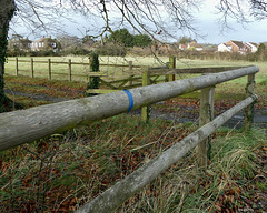Cricket pitch fence -