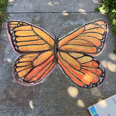 Pandemic chalk: Butterfly