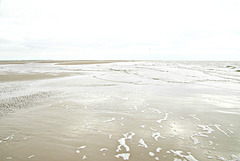 Einsamkeit am Rande der Sandbank (High Key)