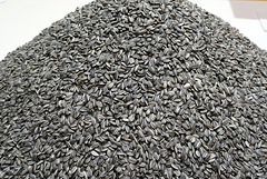 IMG 8036-001-Ai Weiwei Sunflower Seeds