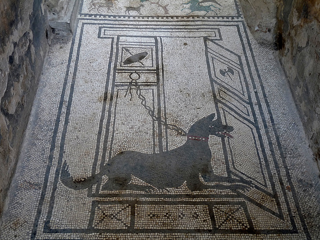 Pompeii- Casa di Paquius Proculus