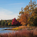 Autumn on Meadow Lake