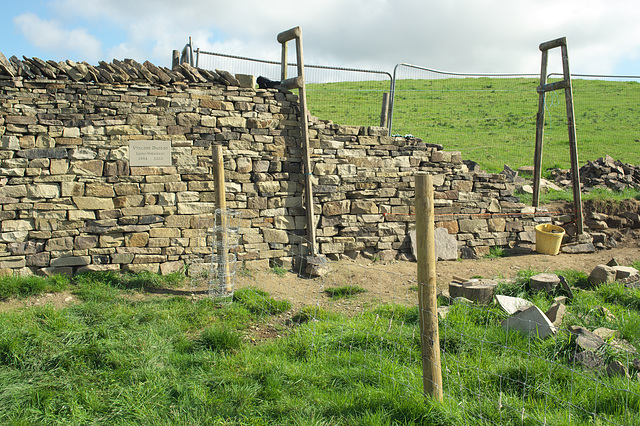 Dry stone walling in Cheshire