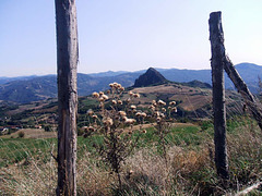 Pietra Parcellara view from  Monte Bogo-Piozzano-Val Luretta -Gap  2008