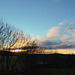 Winter sunsets are rapidly heading southwards on the horizon at this latitude...