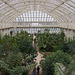 The Temperate House