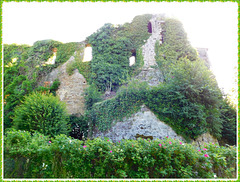 Ruines du château de Coetquen