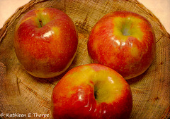 Apples - Lenabem Texture Parchment 052615