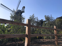 Dutch Windmill with fence