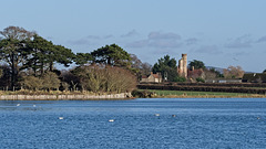 Langstone Harbour View