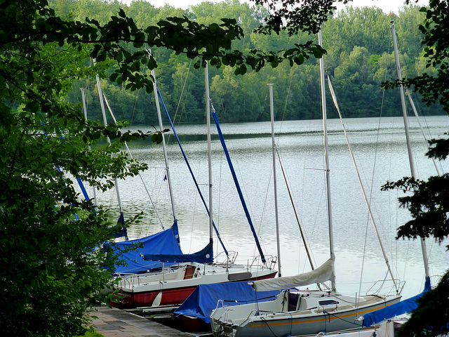 DE - Brühl - Sailing boats at Heider Bergsee