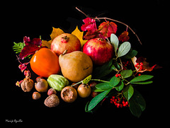 Frutos de otoño