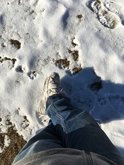 Snow Shoes