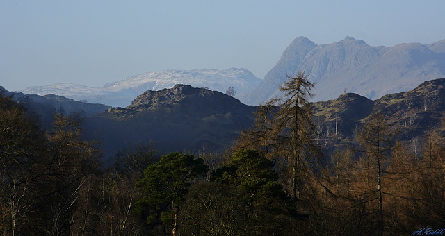 The Langdale Pikes from Tarn Hows