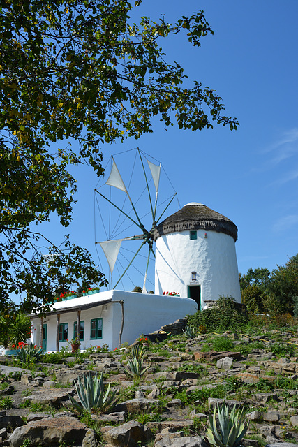 Windmühle von Mykonos....