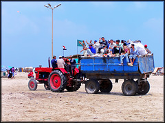 Port Said : i ragazzi si divertono a farsi trasportare sul carro dei rifiuti !