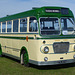 Stokes Bay Bus Rally (2) - 2 August 2015
