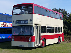 Stokes Bay Bus Rally (3) - 2 August 2015
