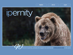 ipernity homepage with #1564