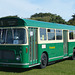 Stokes Bay Bus Rally (5) - 2 August 2015