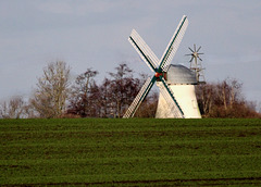 Windmühle Betty   (PiP)