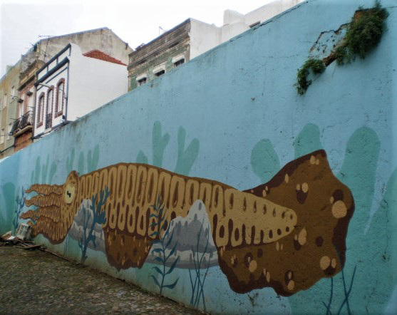 Cuttlefish mural.