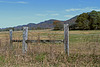 Fence, Field, and Foothills