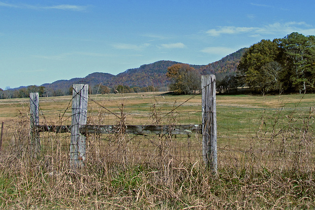 Fence, Field, and Foothills
