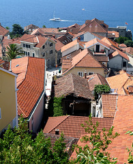 Herceg Novi- Roofscape