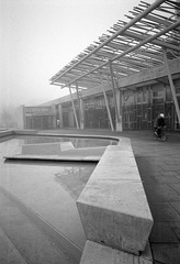 Foggy Scottish Parliament (1)