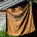 Blanket on a Washing Line