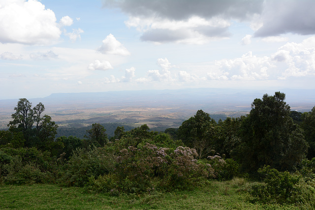 Ngorongoro, View from the Caldera to the South