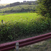 (Hbm)Panorama of our limburg landscape