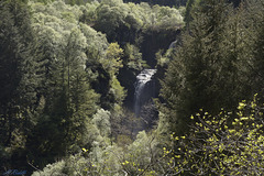 Glenashdale Falls on the Isle of Arran