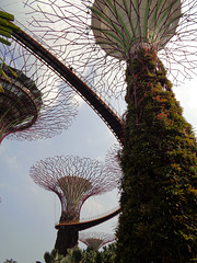 Vietnam 2016 Singapur / Super Trees
