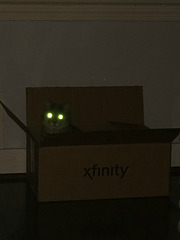 lasercat approves of router upgrade