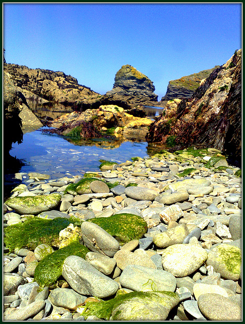 Rock pool for Pam. Very low tide.